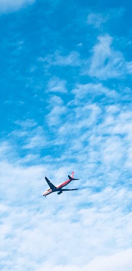 [2436x1125]飞机 天空 航行 云朵 苹果手机壁纸图片