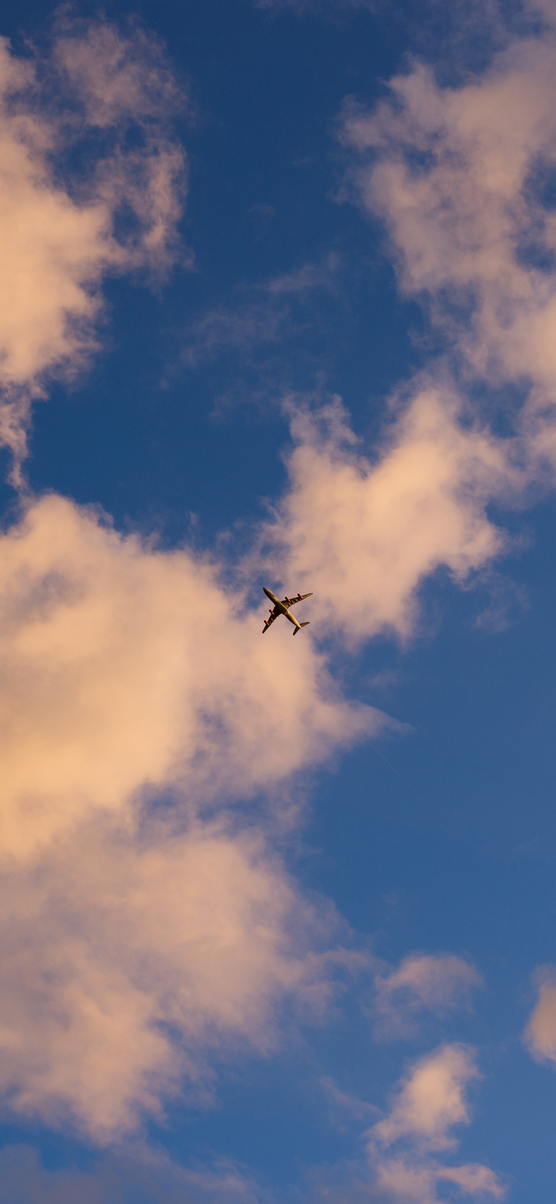 [2436×1125]飞机 天空 飞行 蓝天白云 航空 苹果手机壁纸图片