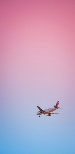[2436x1125]飞机 渐变 天空 飞行 航空 苹果手机壁纸图片