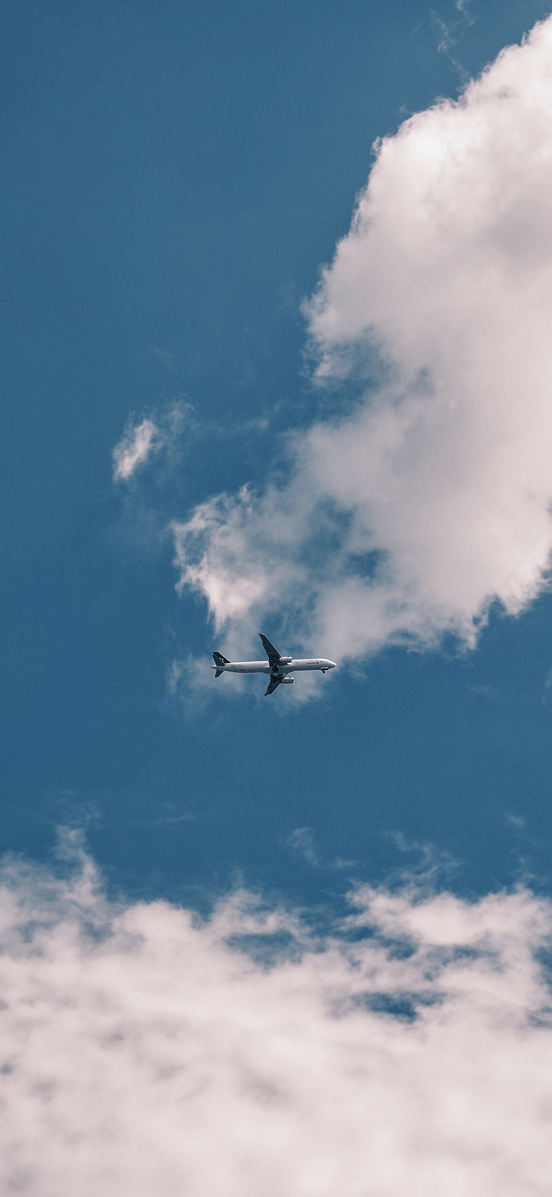 [2436×1125]飞机 飞行 航空 蓝天白云 天空 苹果手机壁纸图片