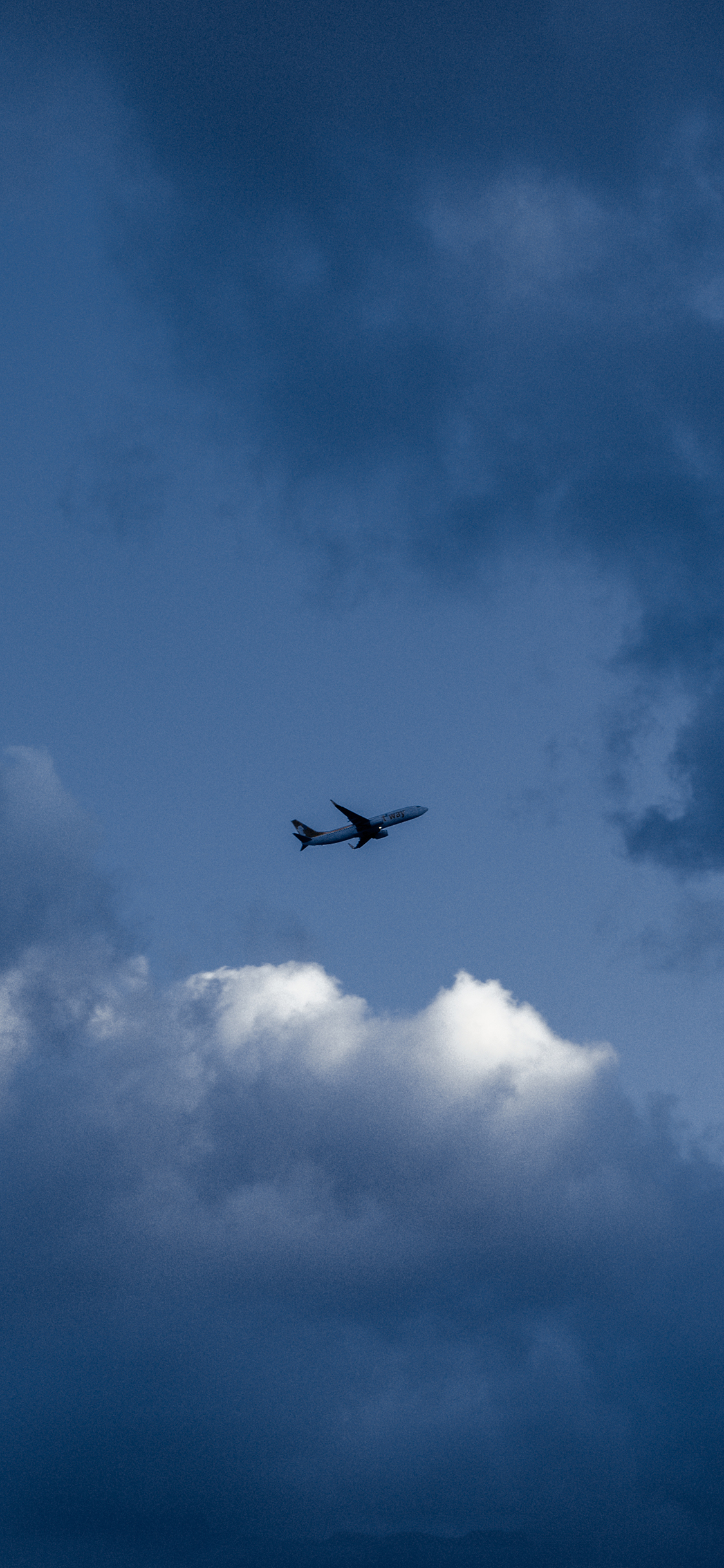 [2436×1125]飞机 飞行 航空 蓝色 天空 苹果手机壁纸图片