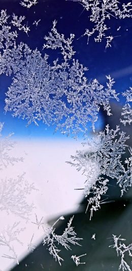 [2436x1125]飞机窗 雪花 冰霜 花纹 苹果手机壁纸图片
