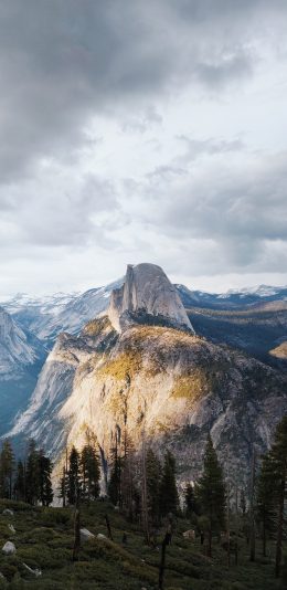 [2436x1125]高山 山川 树木 云海 苹果手机壁纸图片