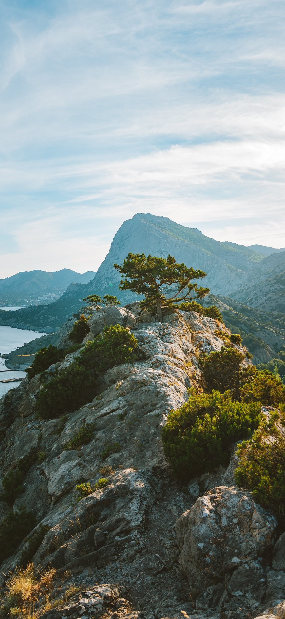 [2436×1125]高山 海边 树目 景色 苹果手机壁纸图片