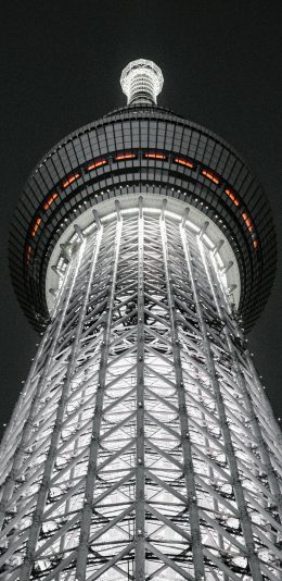 [2436x1125]高楼 建筑 结构 灯光 苹果手机壁纸图片