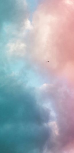 [2436x1125]鸟 天空 飞行 翅膀 唯美 苹果手机壁纸图片