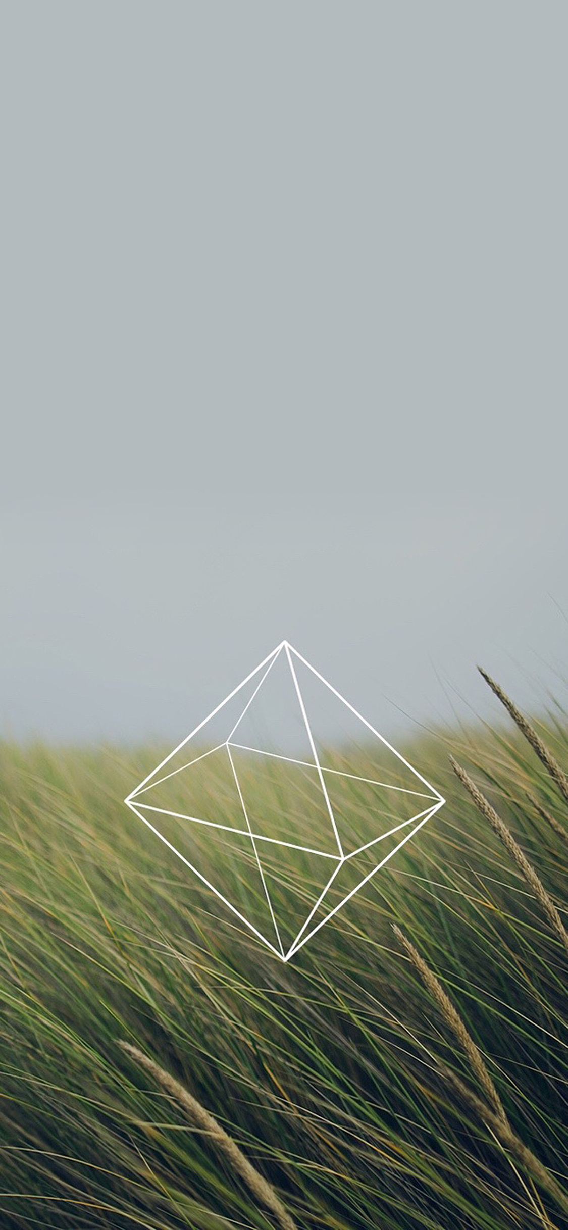 [2436×1125]麦子 风吹麦浪 绿色 几何 线条 天空 苹果手机壁纸图片