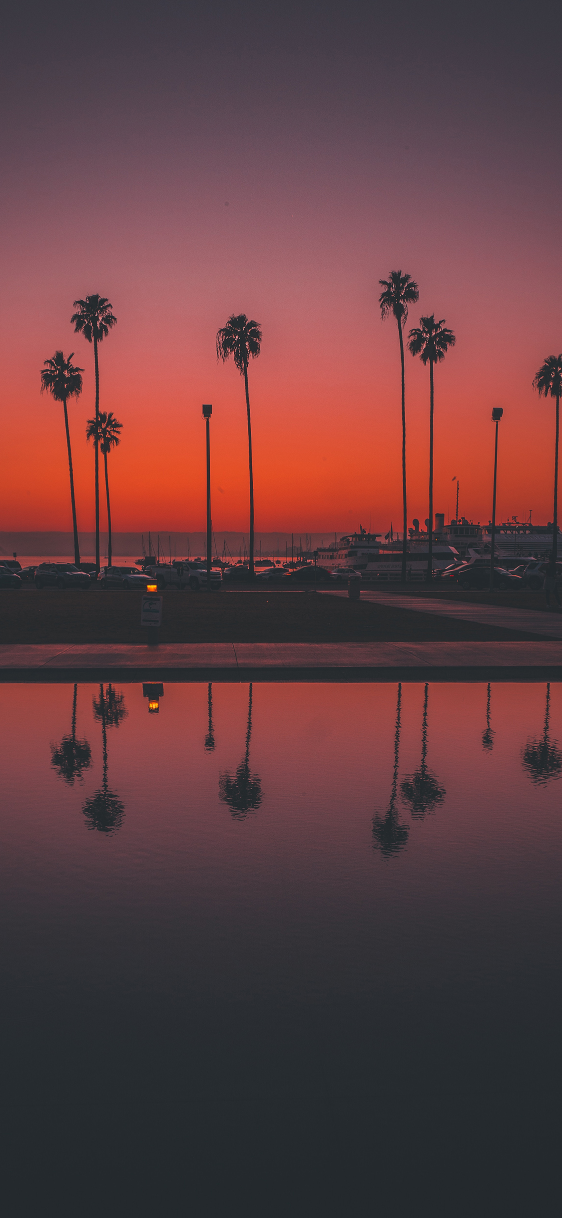 [2436×1125]黄昏 倒映 椰树 昏暗 苹果手机壁纸图片