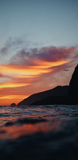 [2436x1125]黄昏 夕阳 海岸 景色 苹果手机壁纸图片