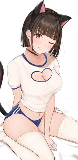 动漫性感的大胸猫女郎