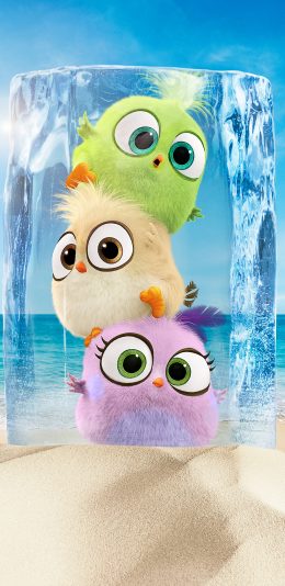 3D动画冰冻了的绿黄粉色大眼小鸟萌手机壁纸