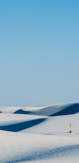 荒芜的沙漠地带手机背景图片