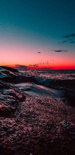 海边岩石，落日海面飞过的海鸥风景手机壁纸