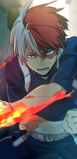 动漫我的英雄学院人物轰焦冻