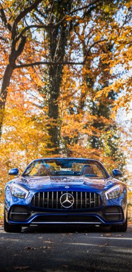 奔驰AMG GT C
