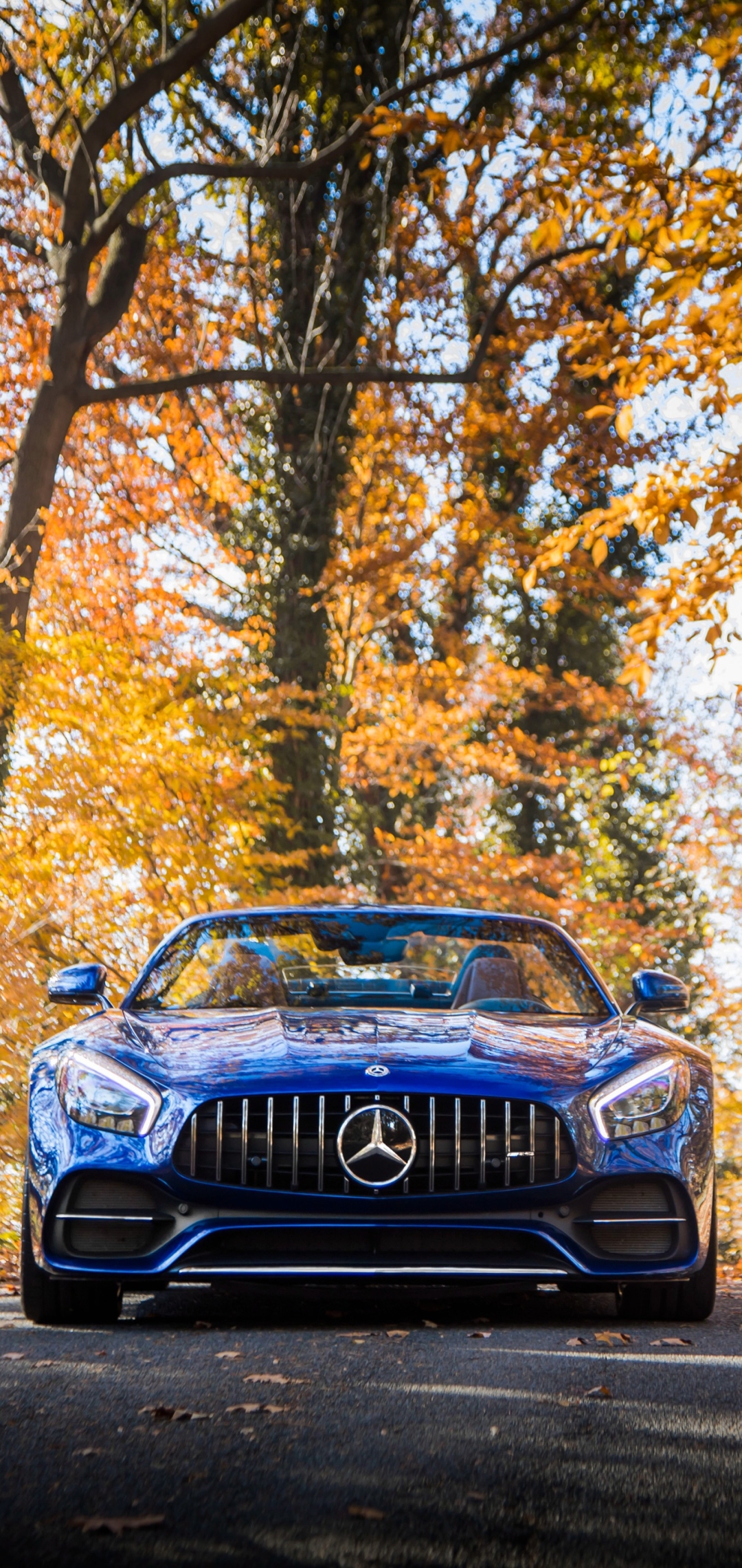 奔驰AMG GT C