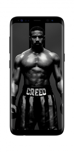 电影 奎迪:英雄再起 Creed II(2018)手机壁纸