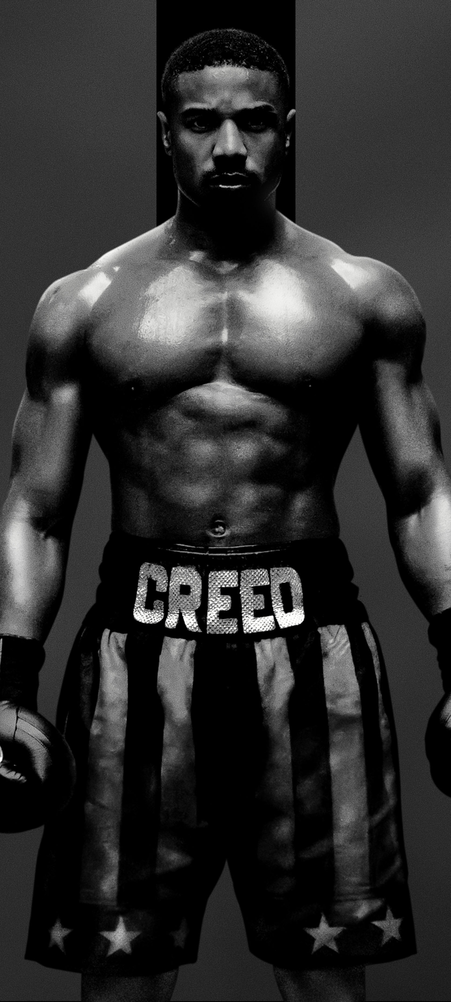 电影 奎迪:英雄再起 Creed II(2018)手机壁纸