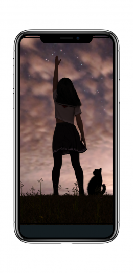 晚霞 女孩和猫
