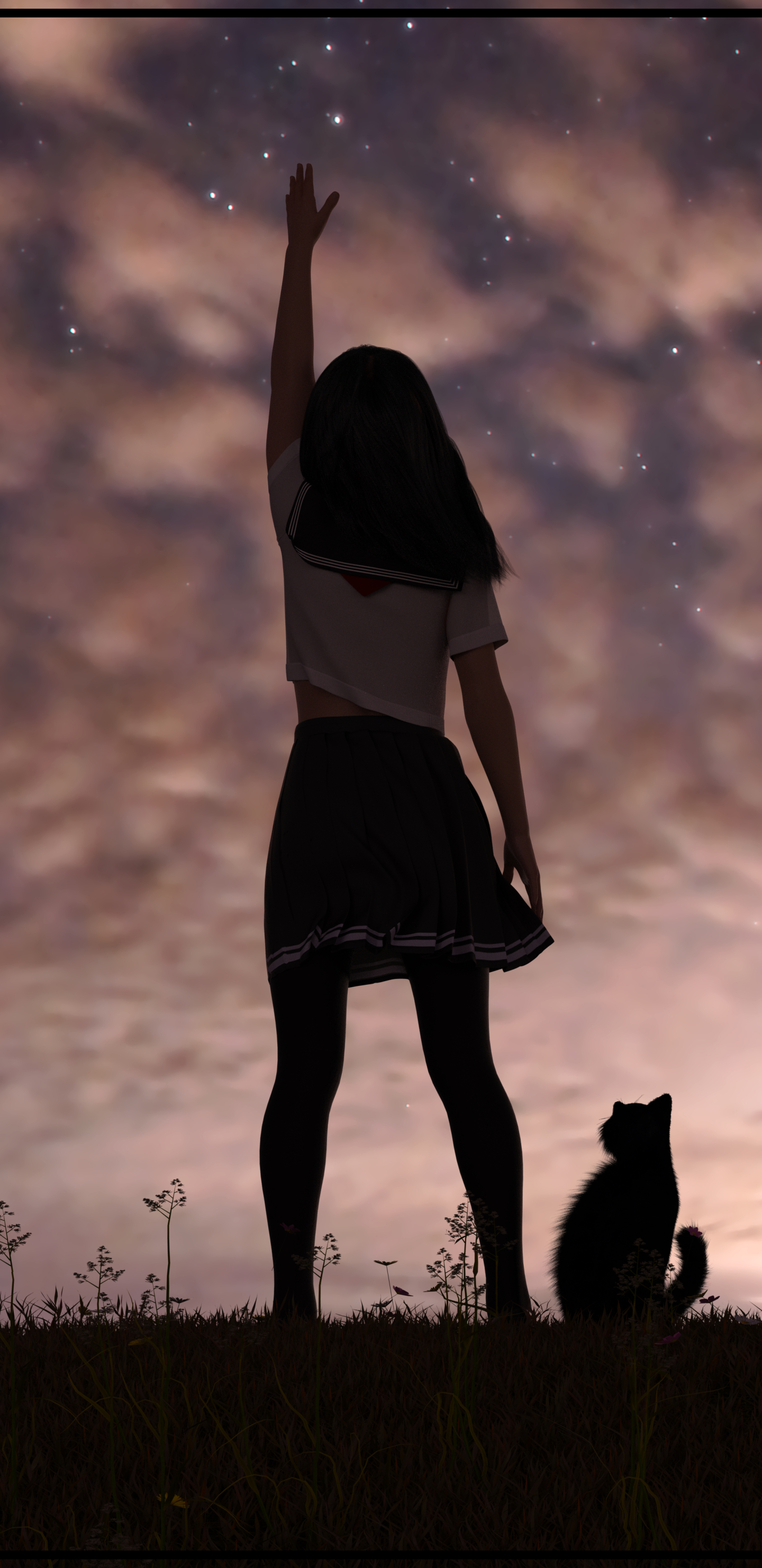 晚霞 女孩和猫