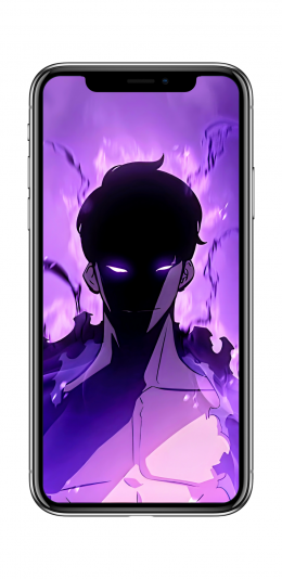 《Solo Leveling》动漫壁纸