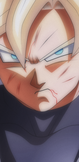 Dragon Ball Super (1440x2960)七龙珠动漫壁纸