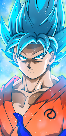 Dragon Ball Super (1440x2960)七龙珠超清壁纸图片