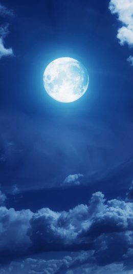 超清2K手机壁纸(2960x1440)月光