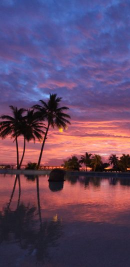 超清2K手机壁纸(2960x1440)超清晚霞风景壁纸