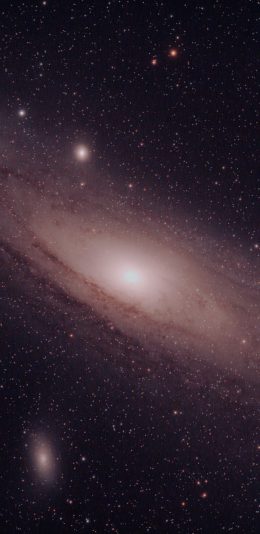 星空（2960x1440）超清壁纸