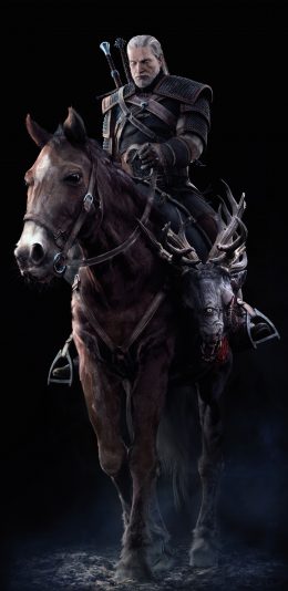 [2960x1440 2K]巫师3游戏壁纸