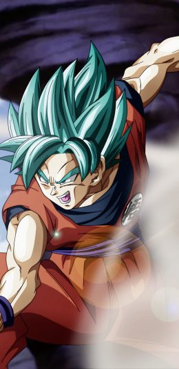 [2960x1440 2K手机壁纸]七龙珠