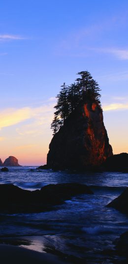 [2960x1440 2K手机壁纸]岛屿