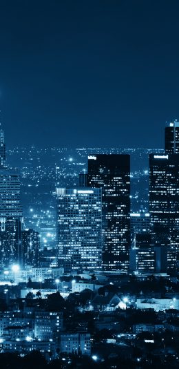 [2960x1440 2K手机壁纸]Los Angeles洛杉矶