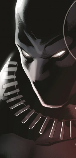 [2960x1440 2K手机壁纸]终极复仇者2:黑豹的崛起