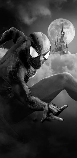 [2960x1440 2K壁纸]蜘蛛侠