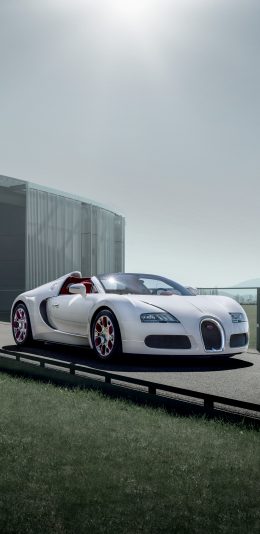 Bugatti Veyron布加迪威龙跑车