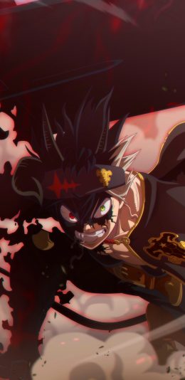 《黑色五叶草》日本漫画 Black Clover (1440x3200) 手机壁纸