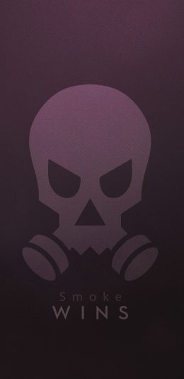 彩虹六号：围攻游戏 图标 手机壁纸2K（2960x1440）