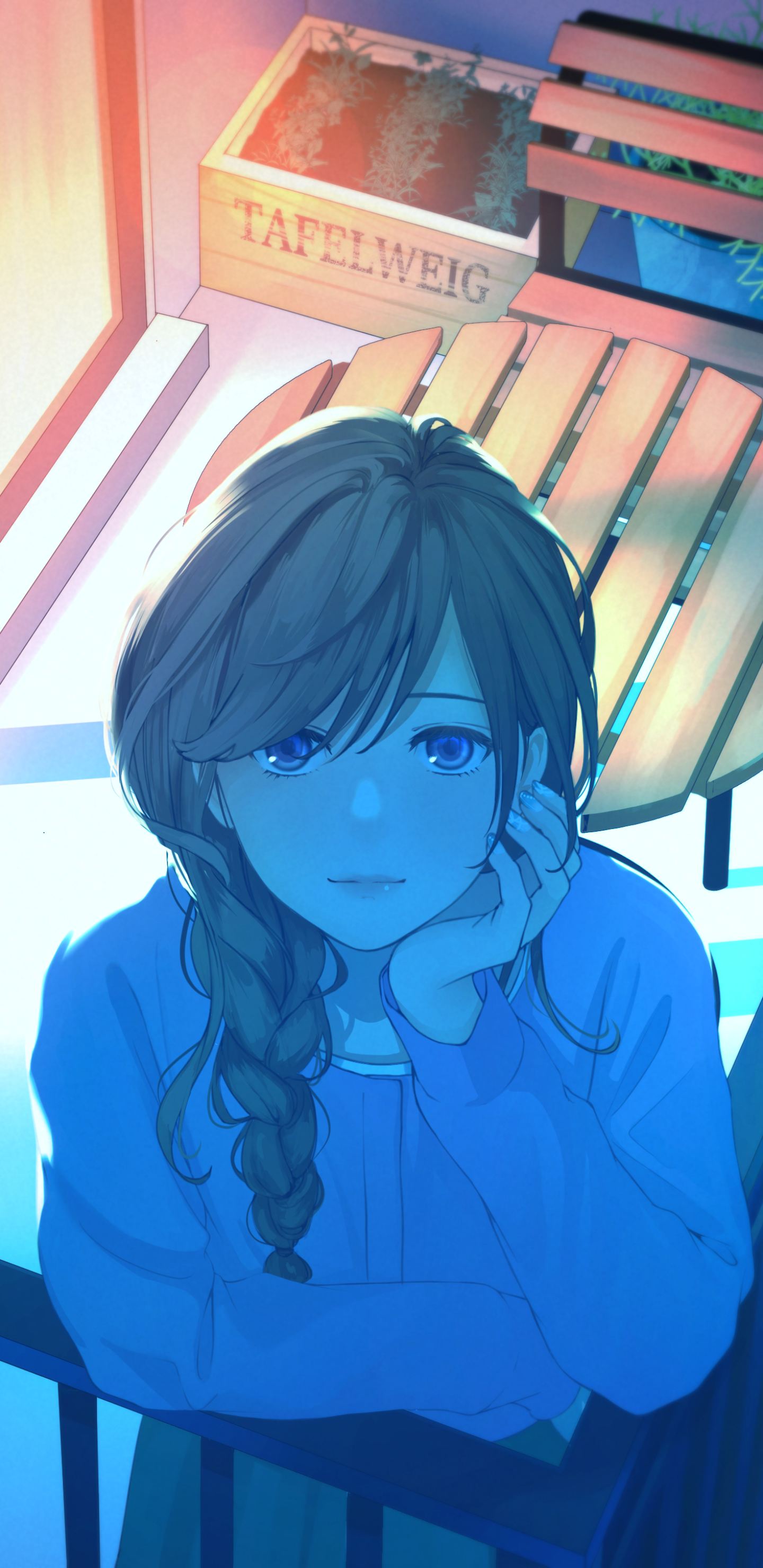 Anime / Girl动漫 女生  (1440×2960)2K手机壁纸