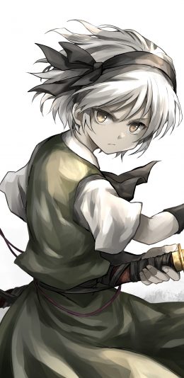 Touhou动漫游戏 (1440x2960)2K手机壁纸