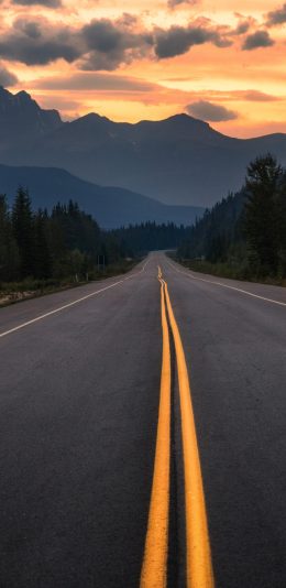 [2k 2960x1440]风景 晚霞 公路手机壁纸图片