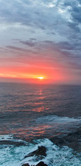 [2K 2960x1440]日落时海边的树风景壁纸图片