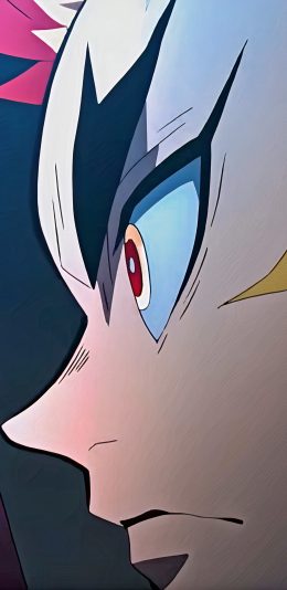 Demon Slayer: Kimetsu No Yaiba (1440x2960)动漫2K手机壁纸