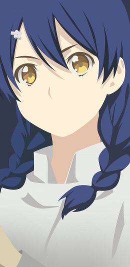 动漫2K手机壁纸 Food Wars: Shokugeki No Soma(1440x2960)