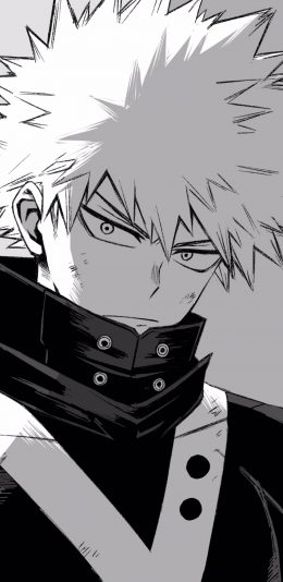 我的英雄学院My Hero Academia (1284x2778)手机壁纸