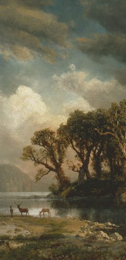 风景绘画 湖泊 （2340x1080）手机壁纸