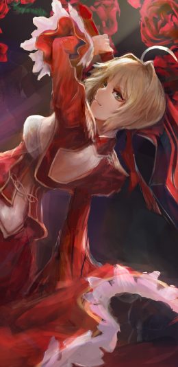 Fate/Extra Last Encore动漫壁纸图片