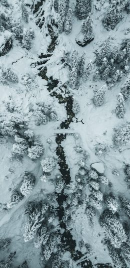 [自行裁剪]雪地美景4K壁纸