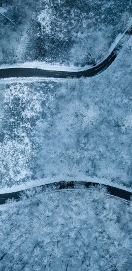 [电脑/手机]冬天雪景公路树林电脑壁纸